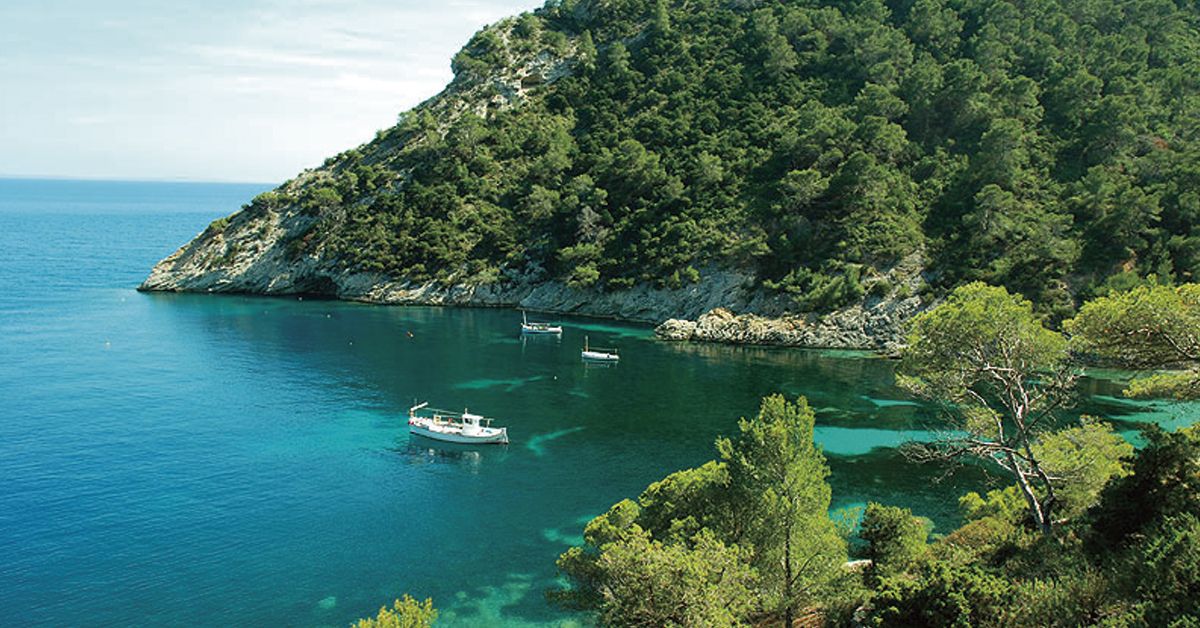 cala llentrisca en ibiza