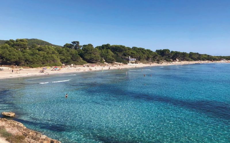 Las salinas en Ibiza